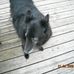 Randy Goldstein - Facebook