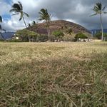 Randy Gonsalves - @randy.gonsalves.31 - Instagram