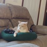 Randy Goodenough - @goodenoughrandy - Instagram