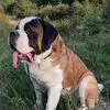 Randy Godin - @randy.godin0 - TikTok