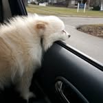 Randy Gooding - @randygooding - Instagram