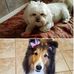 Randy Grady - Facebook