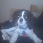 Randy Grady - @turtels12 - Instagram
