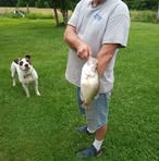 Randy Greenwell - Facebook