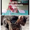 Randy Reig - @randy.reig - TikTok