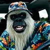 randygreg_ - @randygreg_ - TikTok