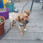 Randy Grimmitt - @randygrimmitt - Instagram