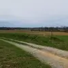 randygrimm911 - @randygrimm911 - TikTok