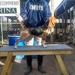 Randy Grissom - @dareeldairyhill - Instagram