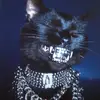 randygrode - @randygrode - TikTok