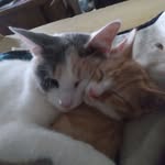 Randy Grubb - @randyjohns73 - Instagram