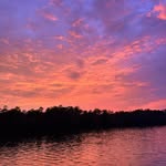 Randy Grubb - @grubbrandy - Instagram