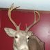 Randy Grubb - Facebook