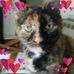 Randy Grubb - Facebook