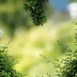 Randy Guffey - @randyguffey49 - Instagram