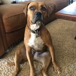 Randy_guillian - @randy_guillian - Instagram