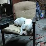 Randy Guillory - @guilloryrandy - Instagram