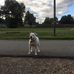 Randy Gump - Facebook