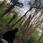 Randall Hadaway - @randallhadaway - Instagram