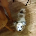 Randy Haddock - Facebook