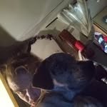 Randy Haddock - @hotpzboyz910 - Instagram