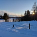Randi Hage - Facebook
