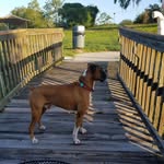 Randy Hager - @randy.hager2 - Instagram