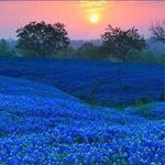 Lloyd Randy Haggard - @randy.haggard.58 - Instagram