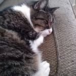 Randy Hamann - @randy.hamann.14 - Instagram
