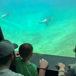 Randy Haney - @randyhaney416 - Instagram