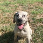 Randy Haney - @slantboyrand - Instagram