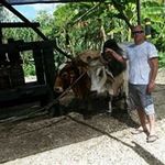 Randy Haney - @randy_haney - Instagram