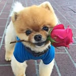 Randy Hanks - @randyhanks97 - Instagram