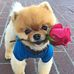 Randy Hanks - Facebook