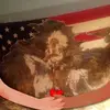 Randy Hanks Sr. - @randy.hanks.sr - TikTok