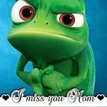 Randy Harbin - @harbin6043 - Instagram