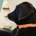 Randy Harbin - @randy_harbin33 - Instagram