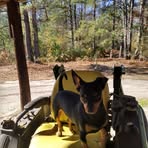 Randi Hardee - Facebook