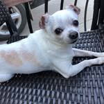 Randy Hardee - @randy.hardee.5 - Instagram