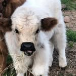 Randy Hargis - @maybe.she.likes.randy - Instagram