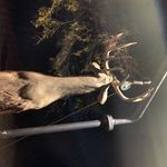 Randy Harrell - @randyharrell68 - Instagram
