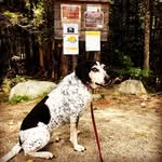 Randy Hatt - @randyhatt - Instagram