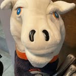 Randy Havens - @havey40 - Instagram