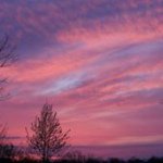 Randy Havens - @randy_havens1963 - Instagram