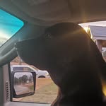 Randy Hawthorne - @ranman414 - Instagram