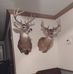 Randy Headley - Facebook