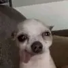 Randy Her As - @randy.her.as - TikTok
