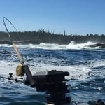 Randy hearn - @rrhearn000 - Instagram