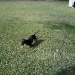 Randy Hebert - @randy.hebert.5099 - Instagram