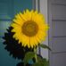 Randi Hembree - Facebook